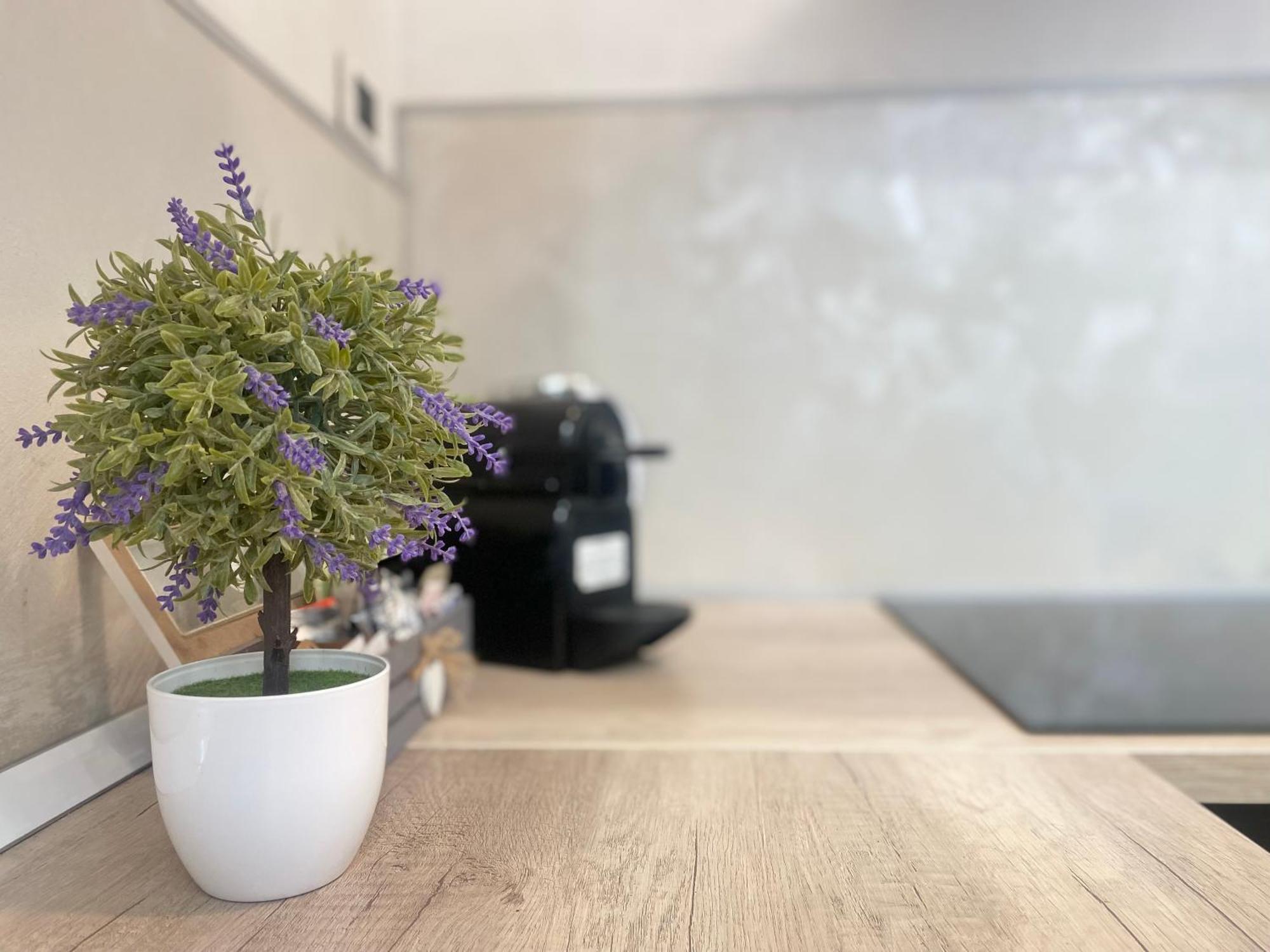 Mazzini 12, Elegant Central Apartment With Free Private Garage 800 M, Air Conditioning, Wi-Fi, Just 100 M From The Public Beach Rapallo Eksteriør billede